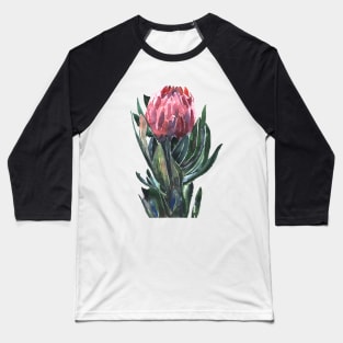 flower protea, watercolor picture Baseball T-Shirt